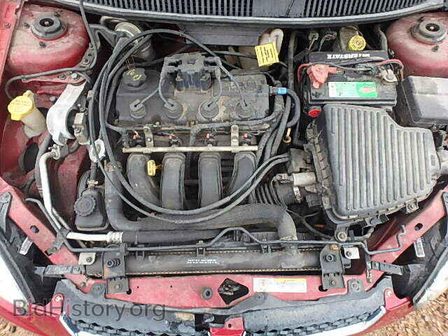 2004 DODGE NEON - VIN: 1B3ES56C94D601812 - Фото 7