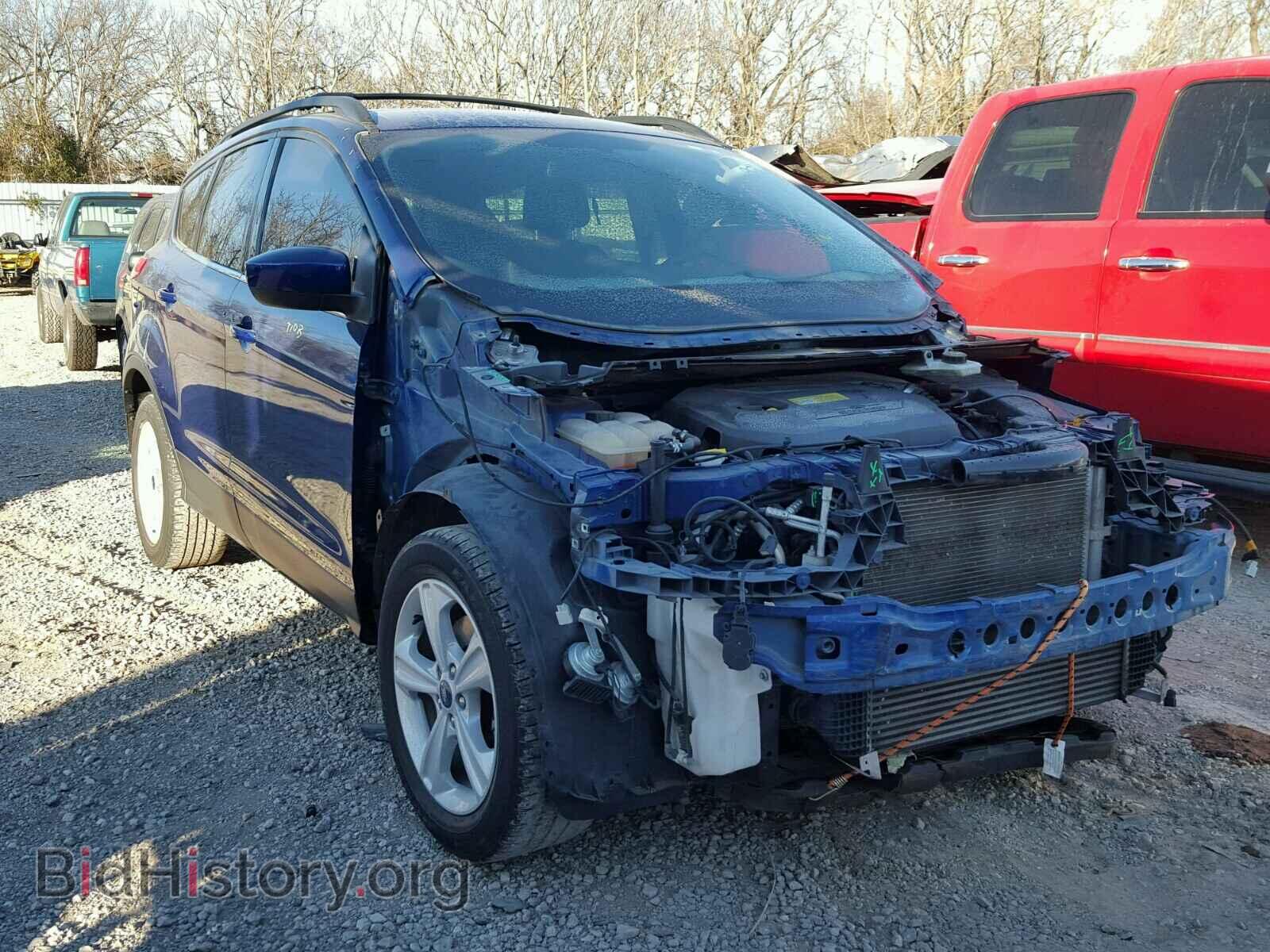 Photo 1FMCU0GX8DUB47178 - FORD ESCAPE 2013