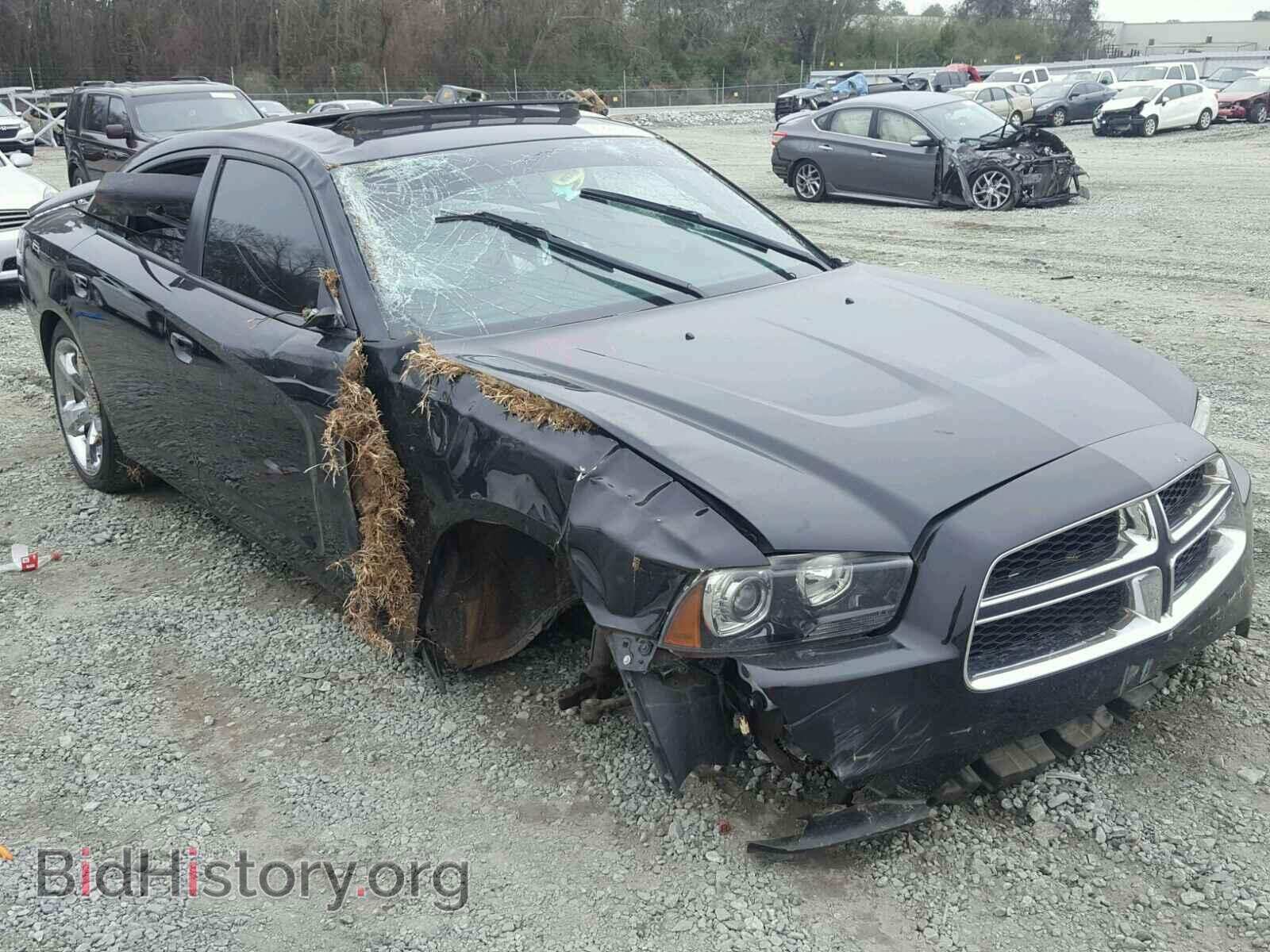Фотография 2C3CDXCT6EH322052 - DODGE CHARGER 2014