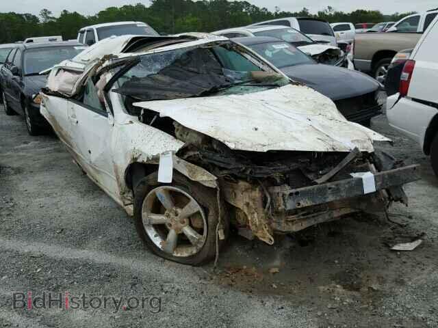 Photo 1N4BA41E48C839348 - NISSAN MAXIMA 2008