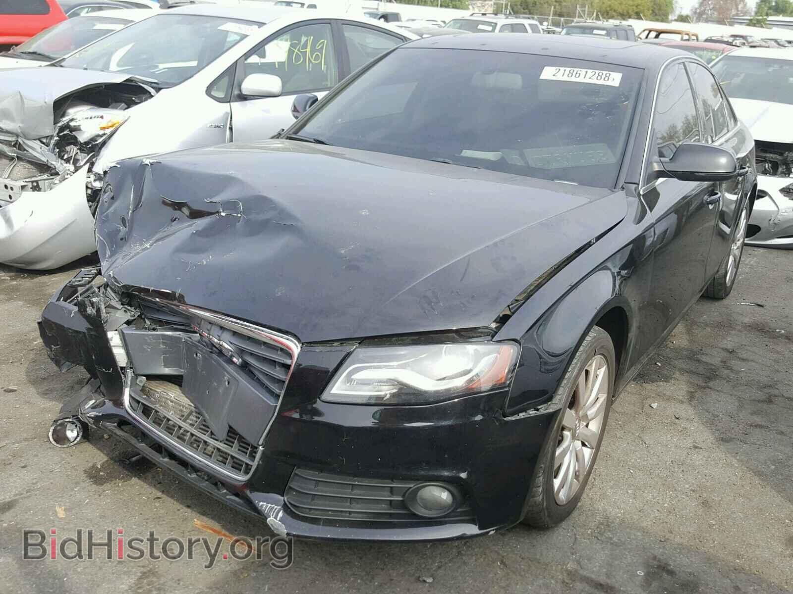 2010 AUDI A4 - VIN: WAUEFAFL6AN056036 - Фото 2