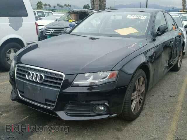 2010 AUDI A4 - VIN: WAUAFAFL6AN058593 - Фото 2