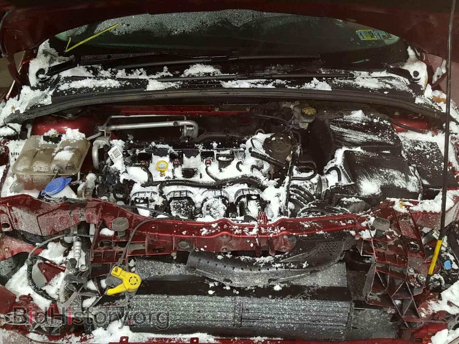 2014 FORD FOCUS - VIN: 1FADP3F29EL202421 - Фото 5