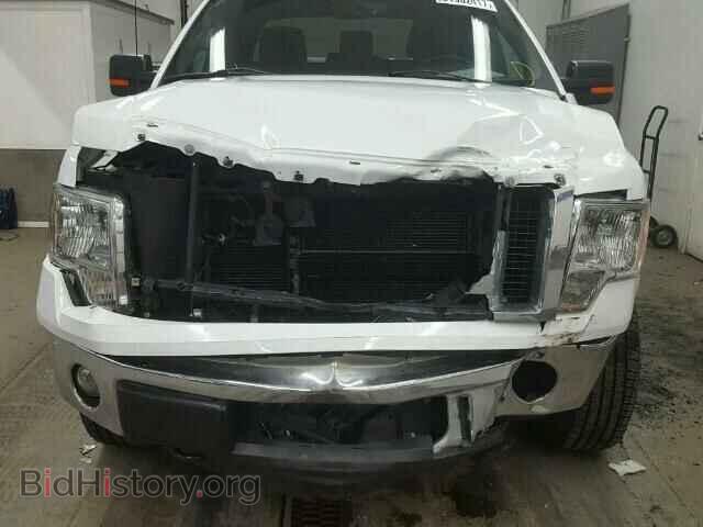 2011 FORD F150 - VIN: 1FTFX1EF2BFC74082 - Фото 7