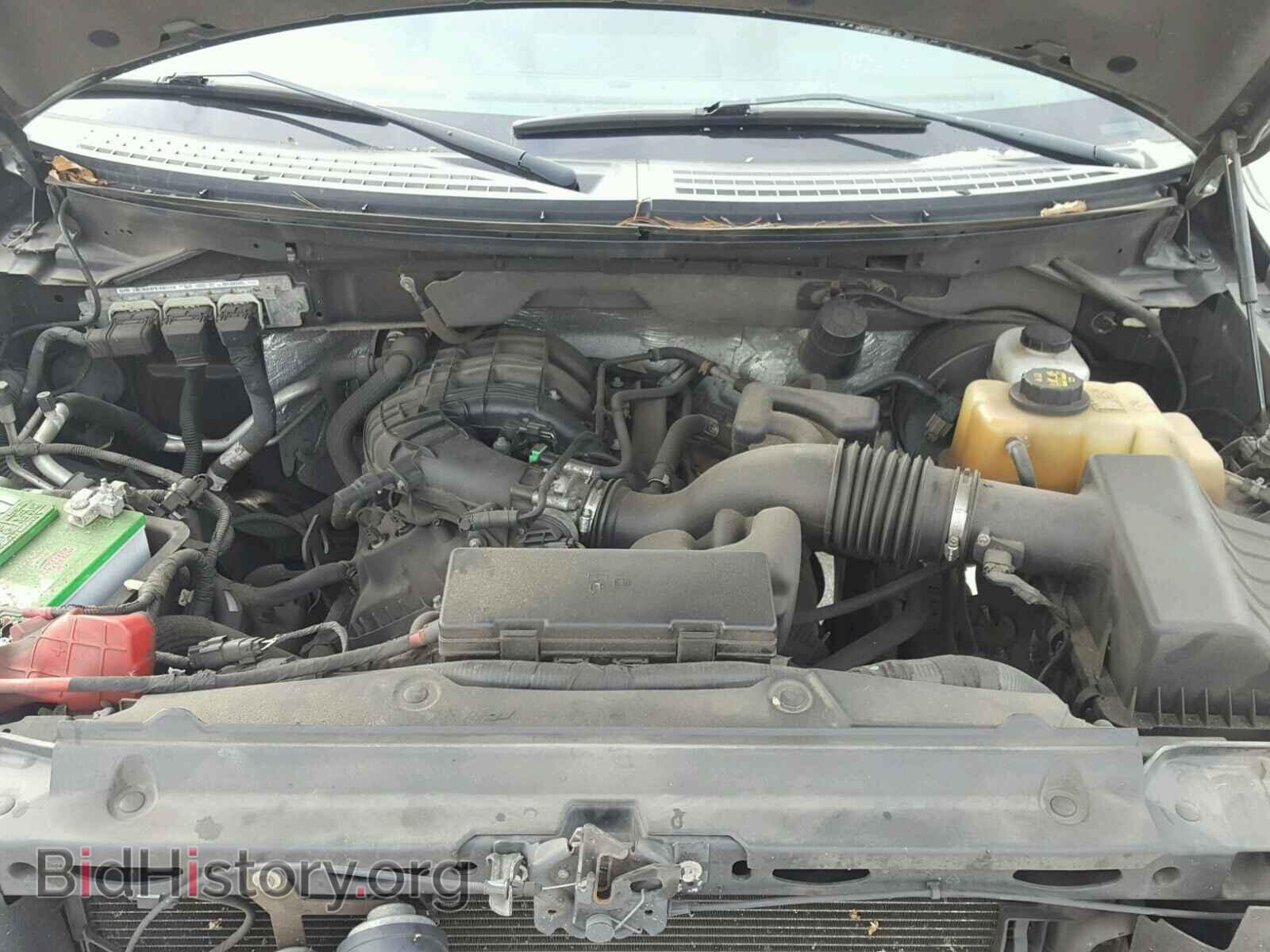 2011 FORD F150 - VIN: 1FTMF1CM4BKD44913 - Фото 7