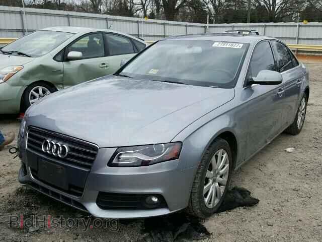 2011 AUDI A4 - VIN: WAUEFAFL2BN045567 - Фото 2