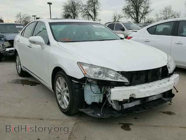 Фотография JTHBK1EG7A2409504 - LEXUS ES350 2010