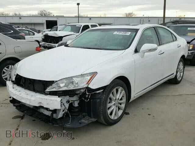 2010 LEXUS ES350 - VIN: JTHBK1EG7A2409504 - Фото 2