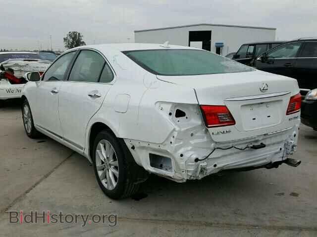 2010 LEXUS ES350 - VIN: JTHBK1EG7A2409504 - Фото 3