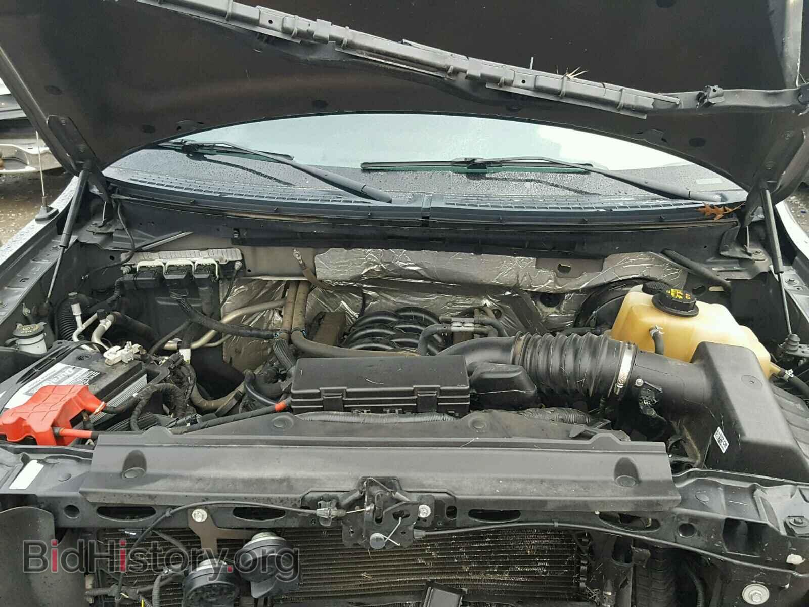2013 FORD F150 - VIN: 1FTFX1CF7DKD97146 - Фото 7
