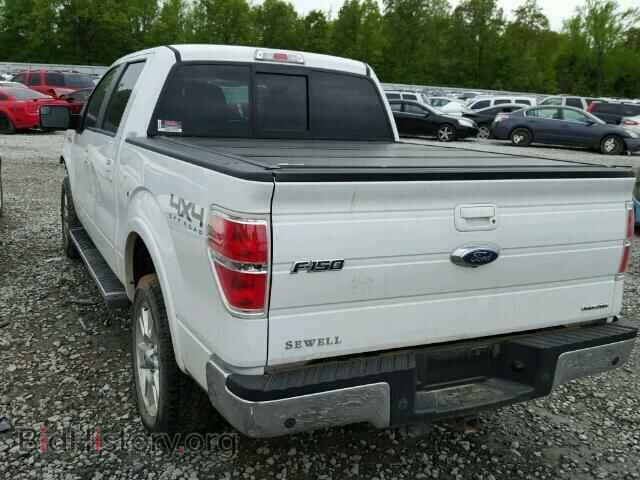 2013 FORD F150 - VIN: 1FTFW1EF8DFA59960 - Фото 3