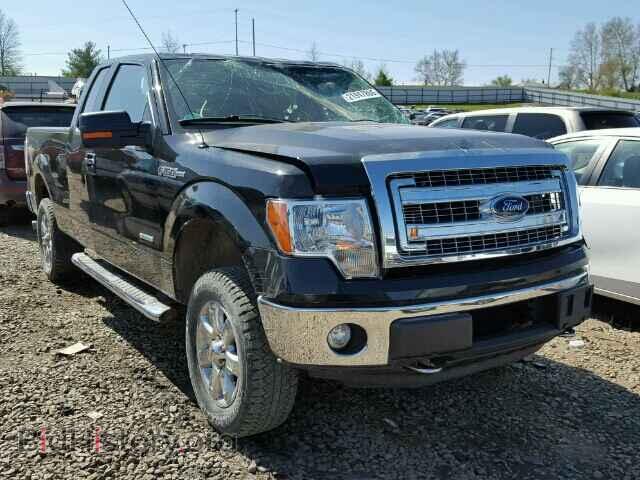 Photo 1FTFX1ET3DFA12791 - FORD F150 2013