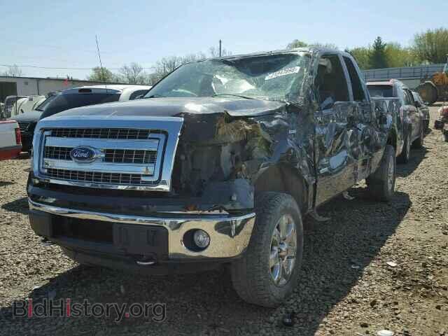 2013 FORD F150 - VIN: 1FTFX1ET3DFA12791 - Фото 2