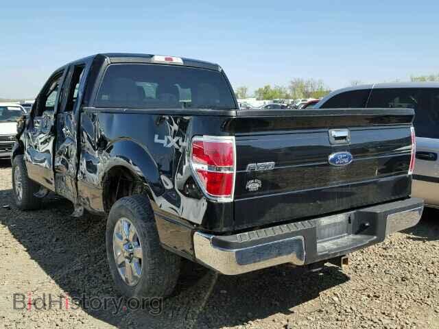 2013 FORD F150 - VIN: 1FTFX1ET3DFA12791 - Фото 3
