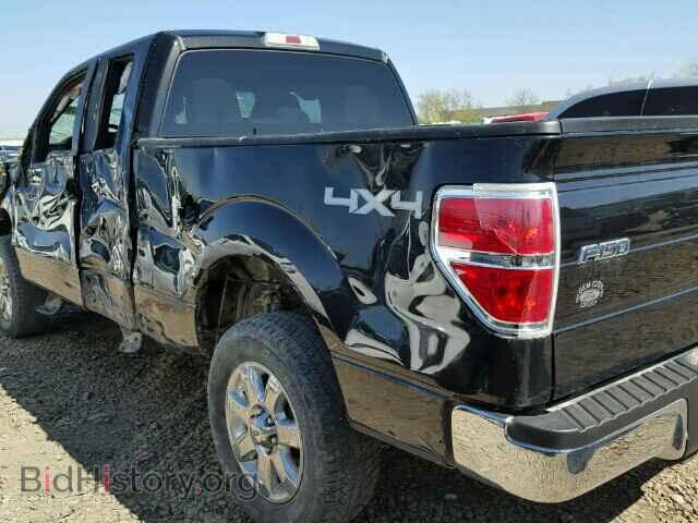 2013 FORD F150 - VIN: 1FTFX1ET3DFA12791 - Фото 10