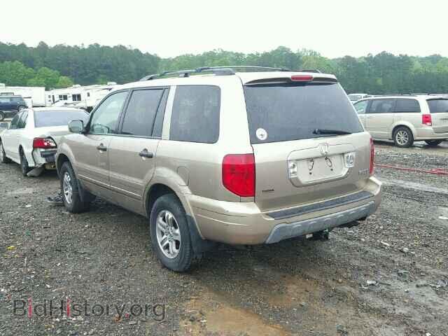 2005 HONDA PILOT - VIN: 5FNYF18575B018107 - Фото 3