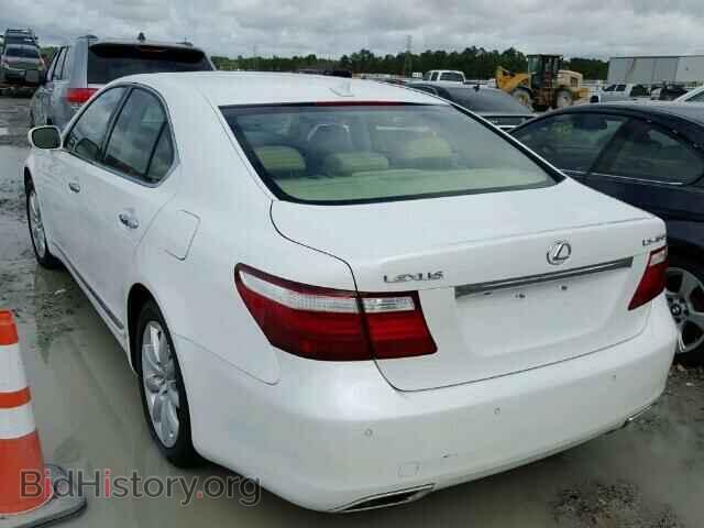 2009 LEXUS LS460 - VIN: JTHBL46F195086789 - Фото 3