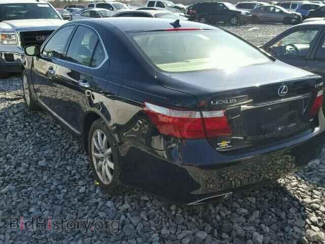 2009 LEXUS LS460 - VIN: JTHCL46F095002482 - Фото 3