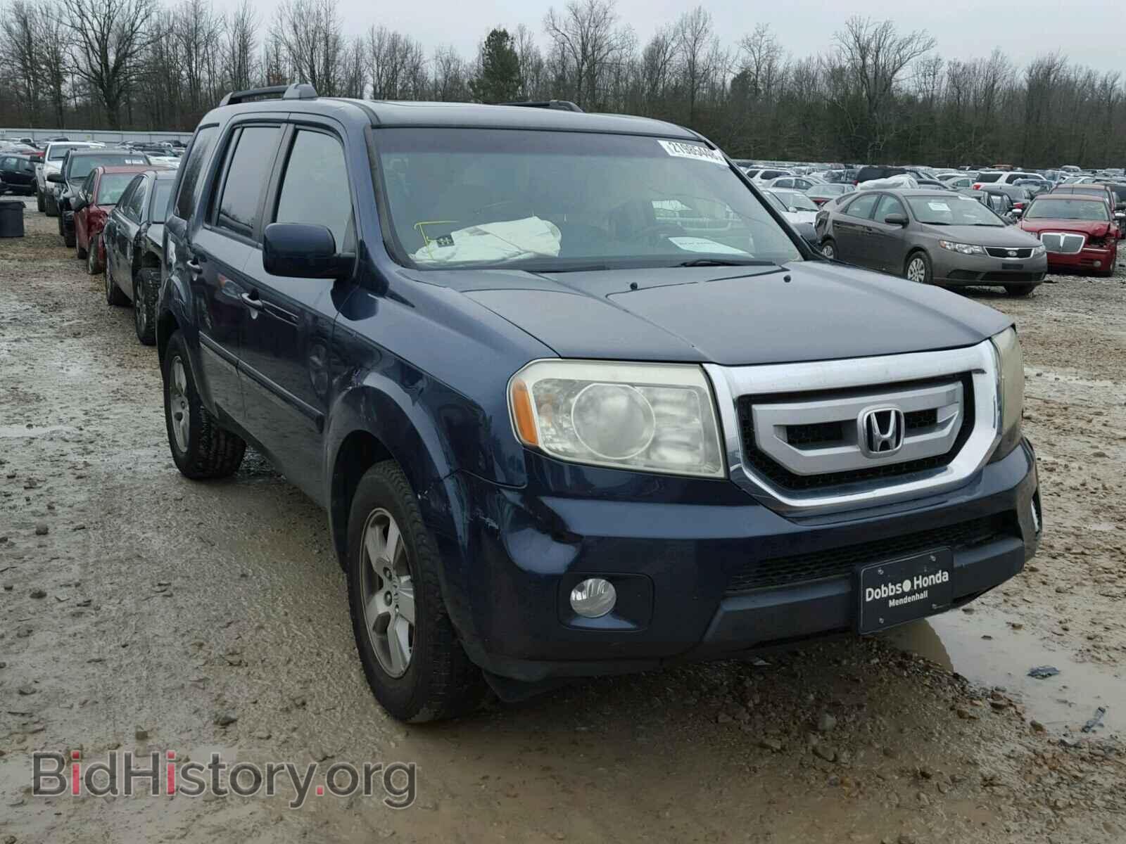 Фотография 5FNYF38549B013352 - HONDA PILOT 2009