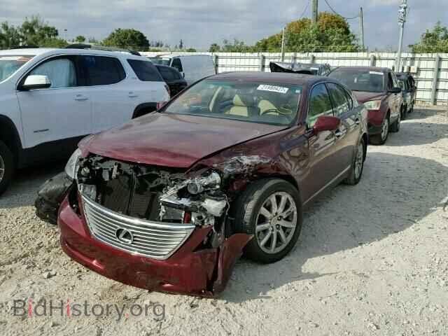 2007 LEXUS LS460 - VIN: JTHBL46F275050753 - Photo 2