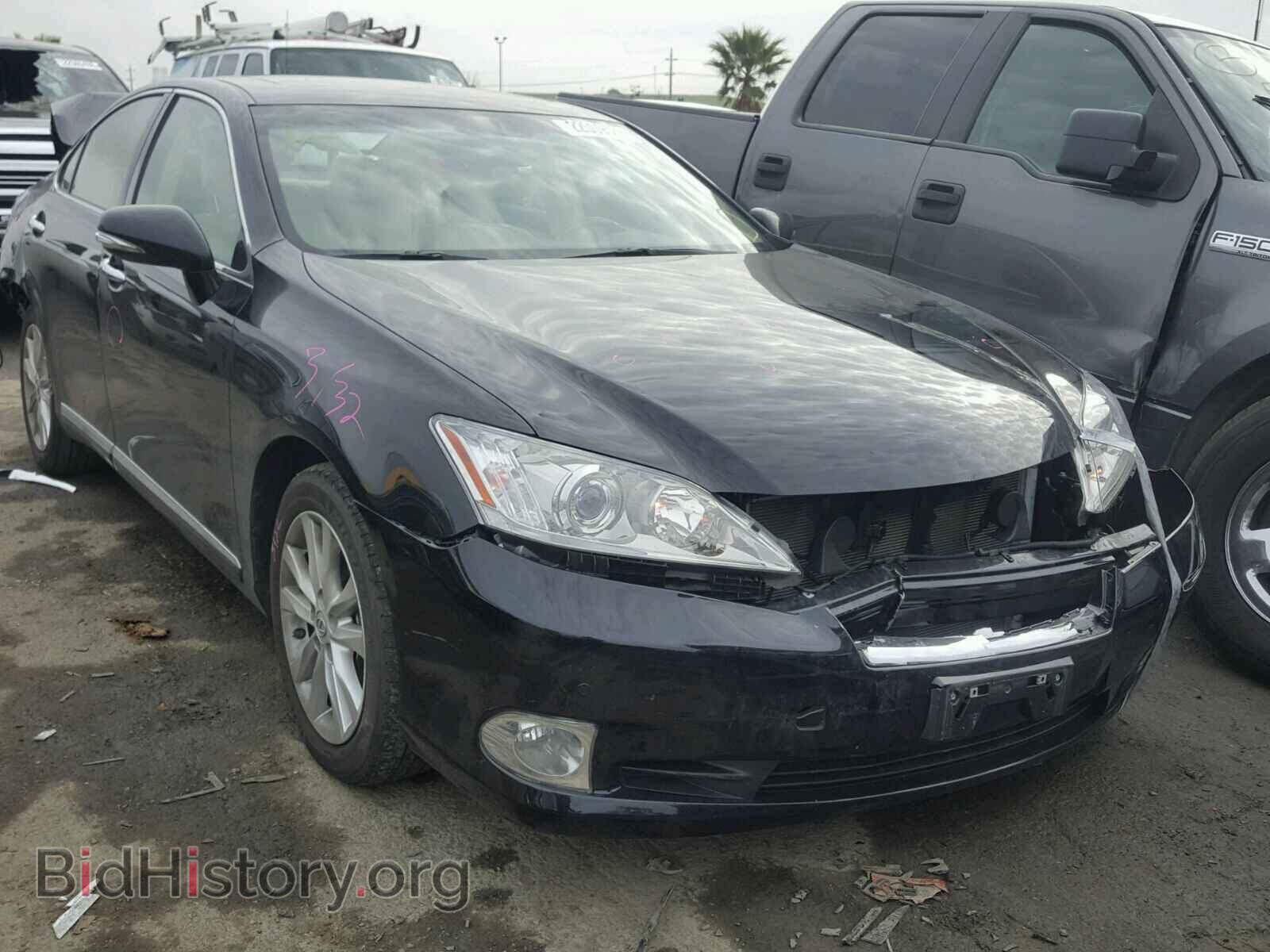 Фотография JTHBK1EG7B2444285 - LEXUS ES350 2011