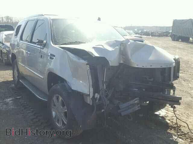 Photo 1GYFK23299R195435 - CADILLAC ESCALADE 2009