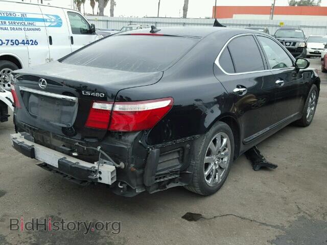 2009 LEXUS LS460 - VIN: JTHBL46F295090656 - Photo 4