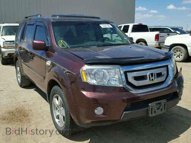 Фотография 5FNYF38589B019204 - HONDA PILOT 2009