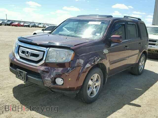 2009 HONDA PILOT - VIN: 5FNYF38589B019204 - Фото 2