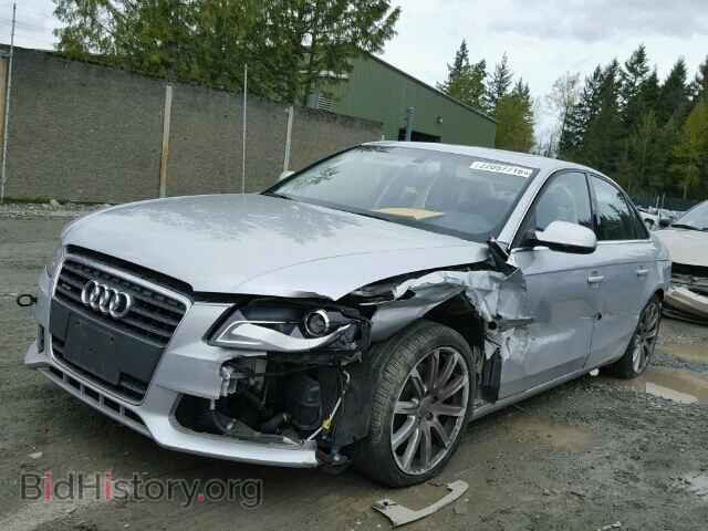 2010 AUDI A4 - VIN: WAUHFAFL5AN026877 - Фото 2