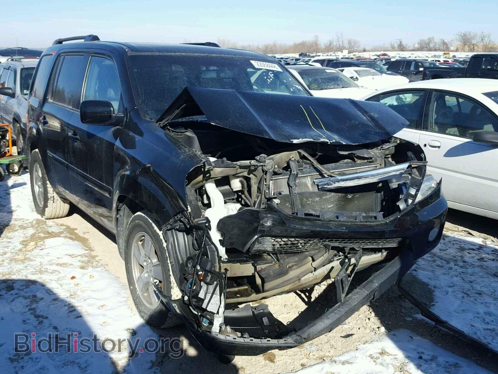 Фотография 5FNYF4H72BB096826 - HONDA PILOT 2011