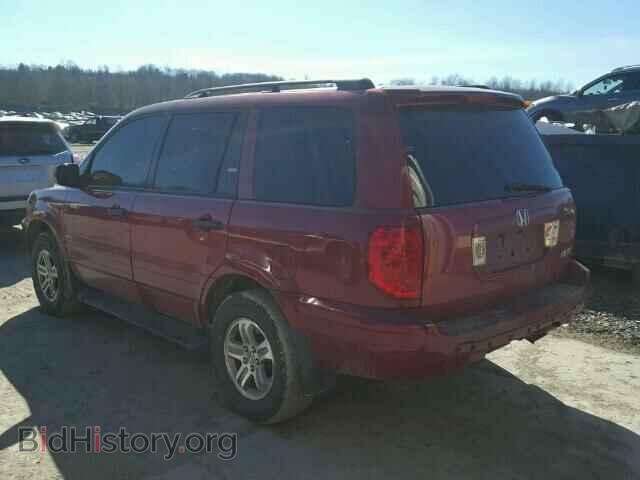 2005 HONDA PILOT - VIN: 2HKYF18565H573390 - Фото 3
