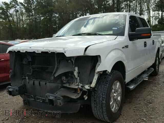 2011 FORD F150 - VIN: 1FTEW1CM9BFC28006 - Фото 2