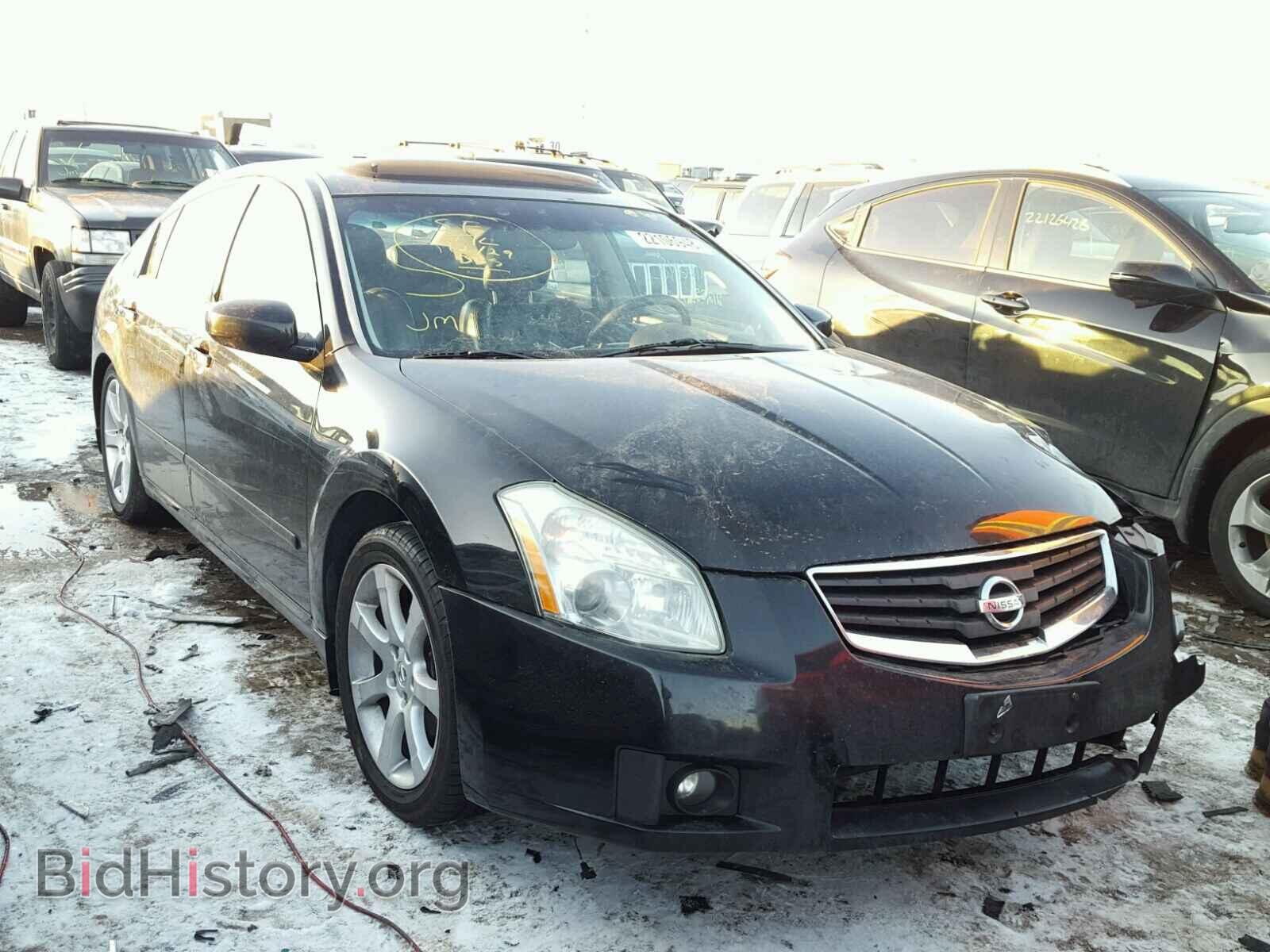 Photo 1N4BA41E68C834202 - NISSAN MAXIMA 2008