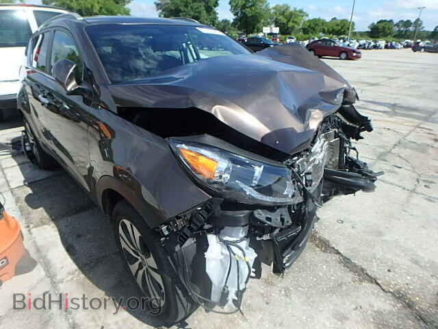 Фотография KNDPC3A20B7108779 - KIA SPORTAGE 2011