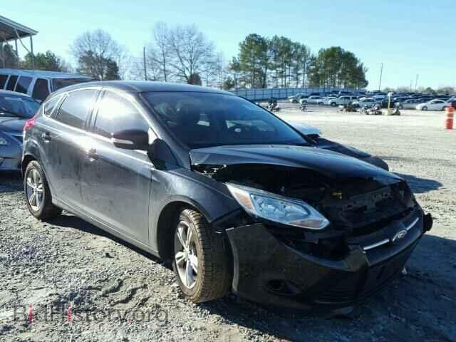 Photo 1FADP3K29DL379362 - FORD FOCUS 2013