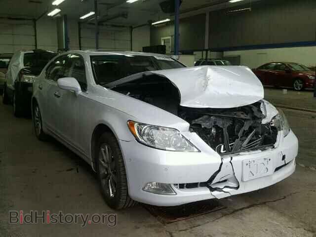 Фотография JTHBL46F785052127 - LEXUS LS460 2008