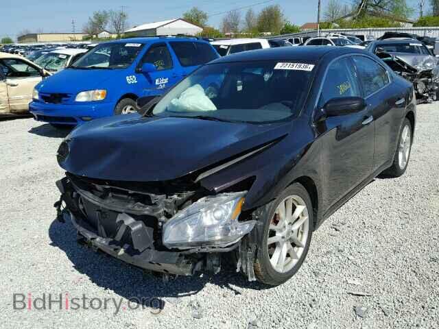 2011 NISSAN MAXIMA - VIN: 1N4AA5AP6BC844447 - Фото 2