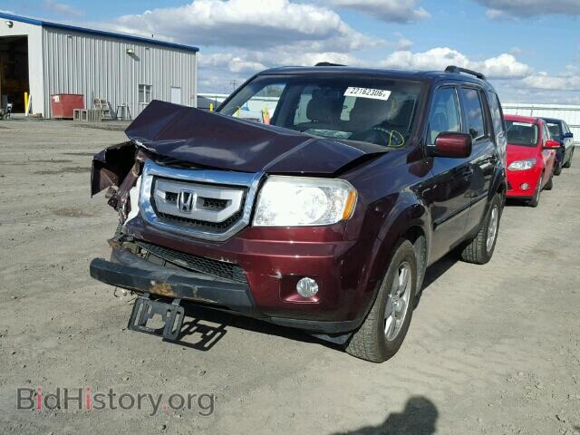 2009 HONDA PILOT - VIN: 5FNYF48559B015150 - Фото 2