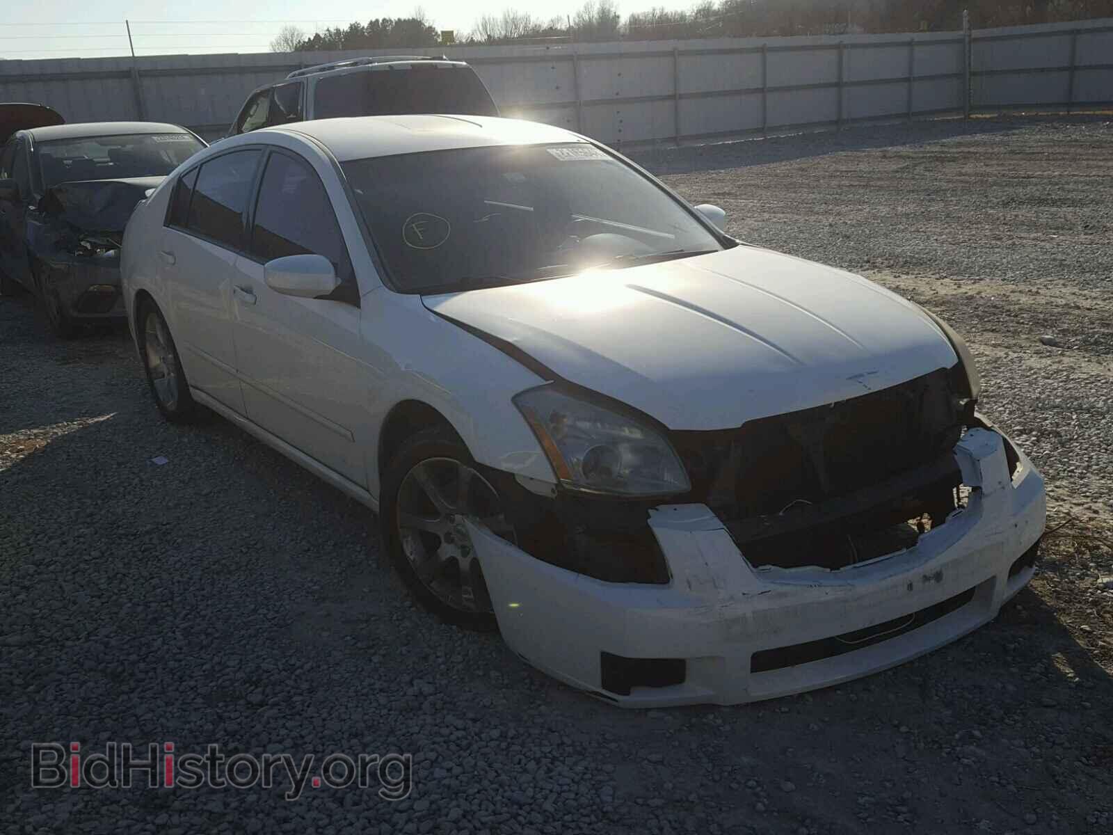 Photo 1N4BA41E68C814662 - NISSAN MAXIMA 2008