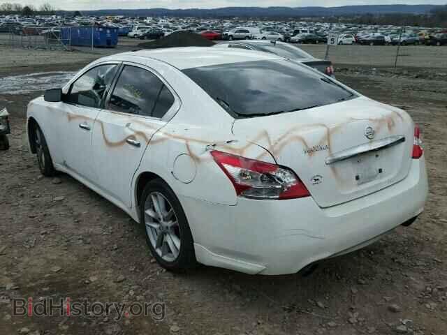 2009 NISSAN MAXIMA - VIN: 1N4AA51E39C848075 - Фото 3