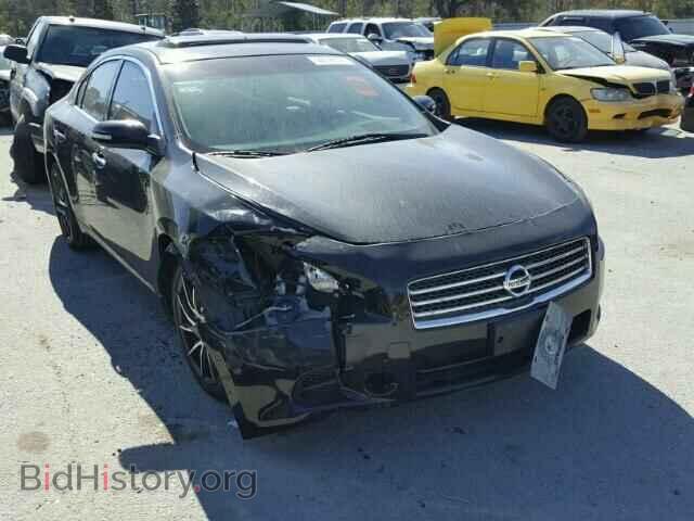 Фотография 1N4AA5AP1BC803613 - NISSAN MAXIMA 2011