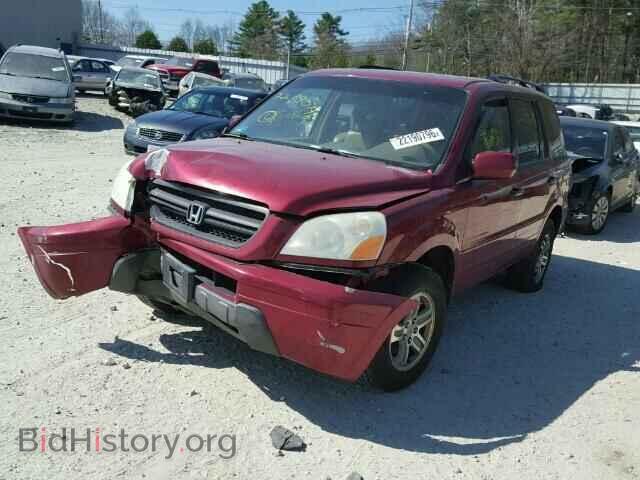 2005 HONDA PILOT - VIN: 2HKYF18685H501387 - Фото 2