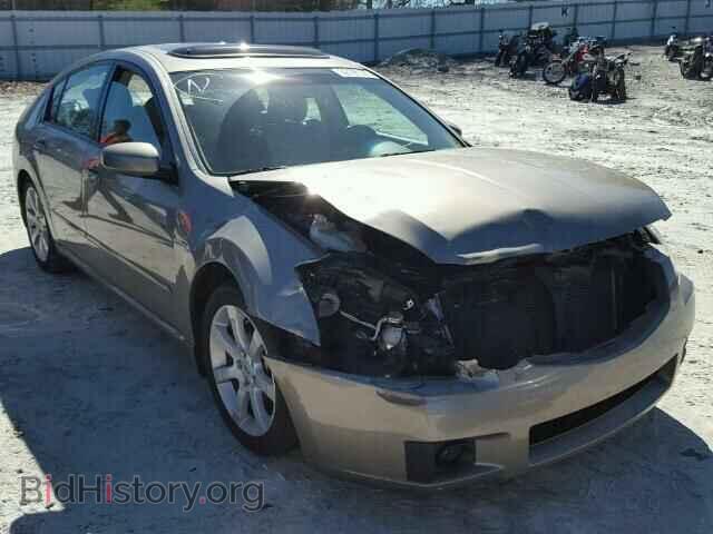 Photo 1N4BA41E58C835504 - NISSAN MAXIMA 2008