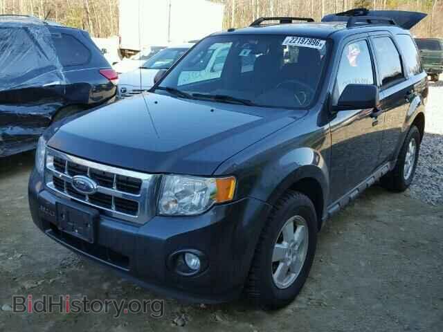 2009 FORD ESCAPE - VIN: 1FMCU03759KD10264 - Фото 2