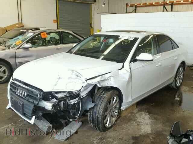 2013 AUDI A4 - VIN: WAUFFAFL5DN046199 - Фото 2