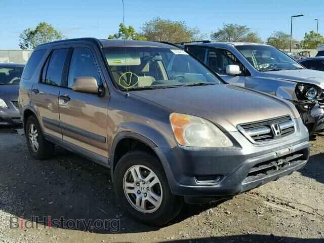 Photo JHLRD77883C012953 - HONDA CRV 2003