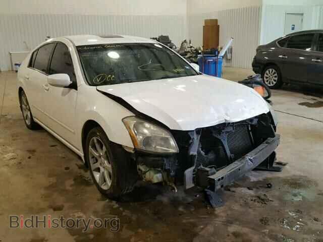 Photo 1N4BA41EX8C818326 - NISSAN MAXIMA 2008