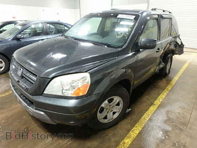 2005 HONDA PILOT - VIN: 5FNYF18505B048534 - Фото 2