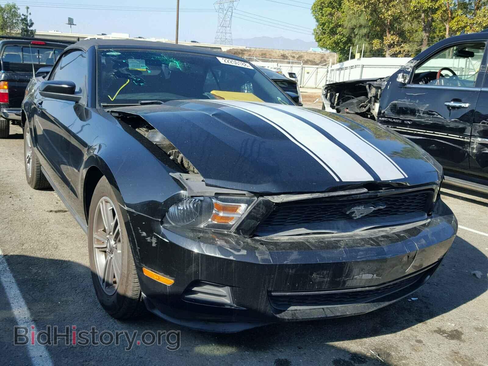 Photo 1ZVBP8EM9B5126441 - FORD MUSTANG 2011